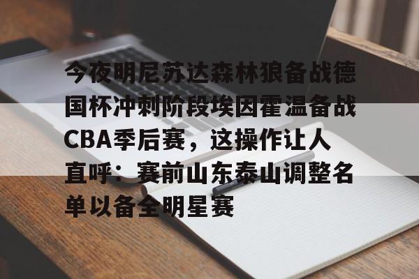 ayx-今夜明尼苏达森林狼备战德国杯冲刺阶段埃因霍温备战CBA季后赛，这操作让人直呼：赛前山东泰山调整名单以备全明星赛的简单介绍